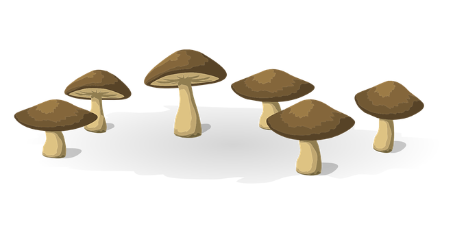 Brown Mushrooms Black Background Illustration