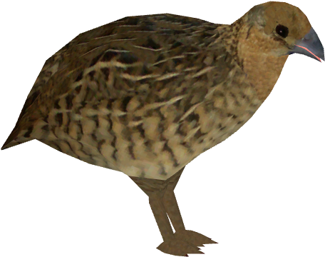 Brown Quail Isolatedon Transparent Background