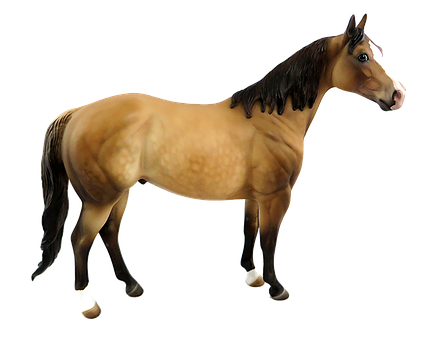 Buckskin Horse Black Mane