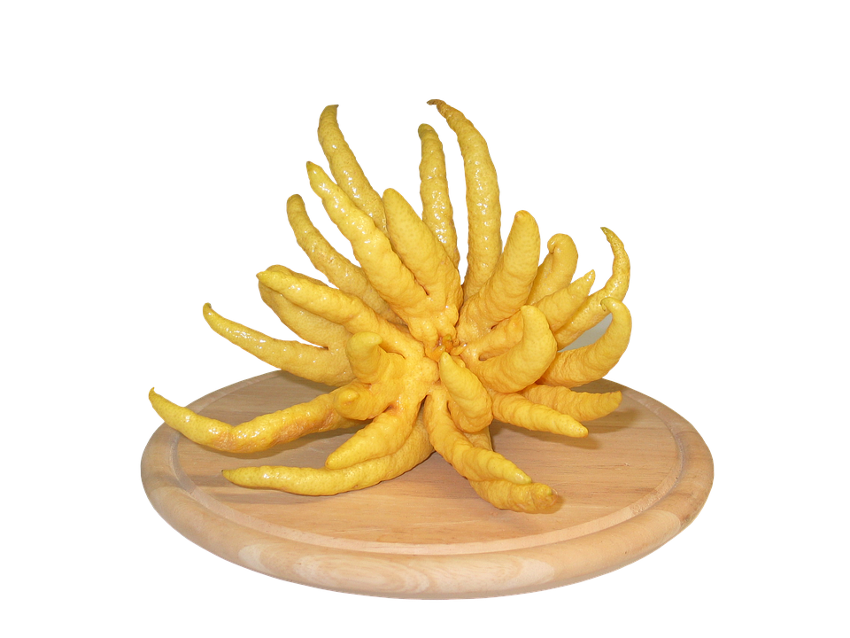 Buddhas Hand Citron Fruit