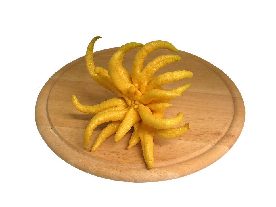 Buddhas Hand Citron Fruit