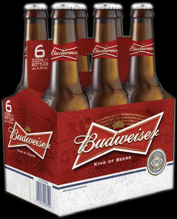 Budweiser6 Pack Bottles Branding