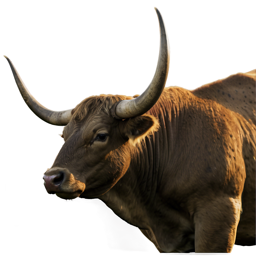 Bull Head In Nature Png 06132024