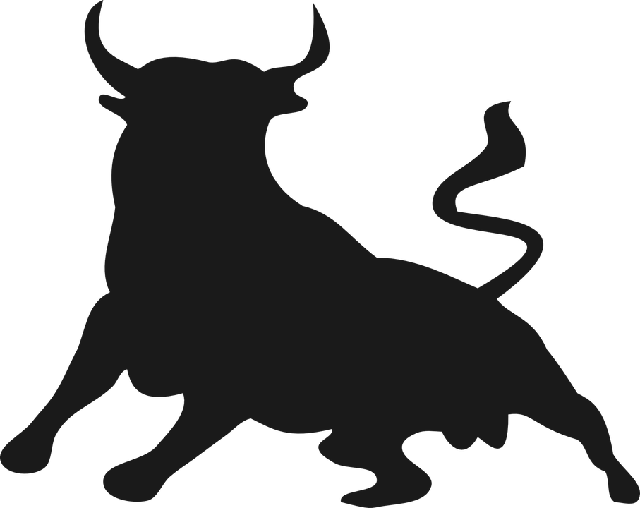 Bull Silhouette Charging