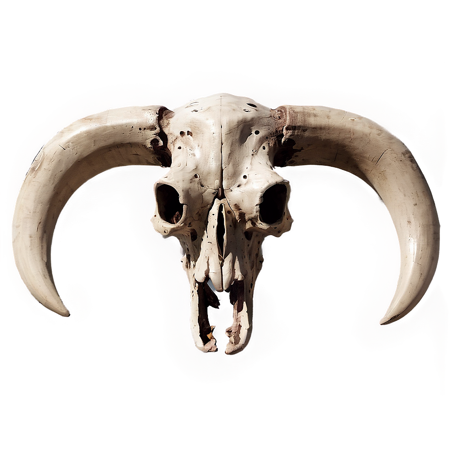 Bull Skull In Desert Scene Png Qhi22