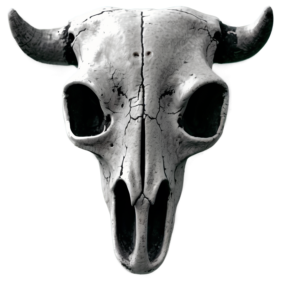 Bull Skull In Monochrome Png 06122024