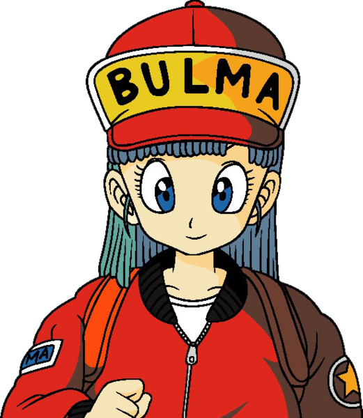 Bulma Classic D B Z Look