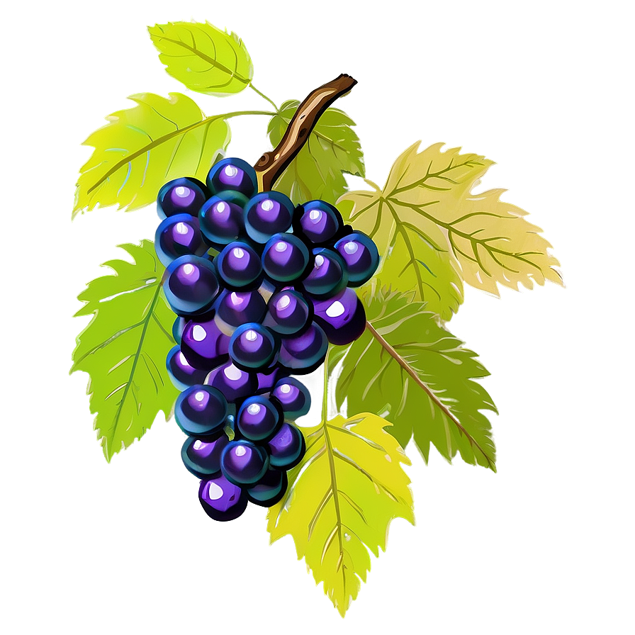 Bunch Of Grapes Png 05212024