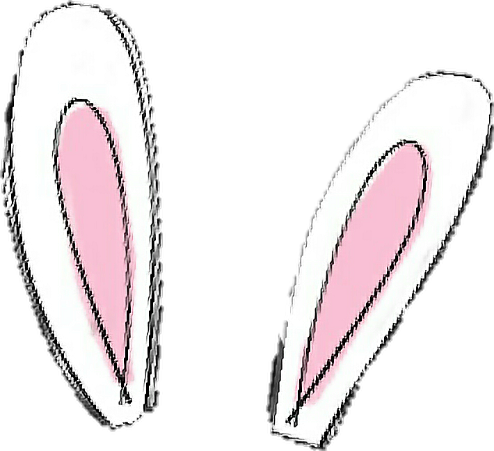 Bunny Ears Illustration.png