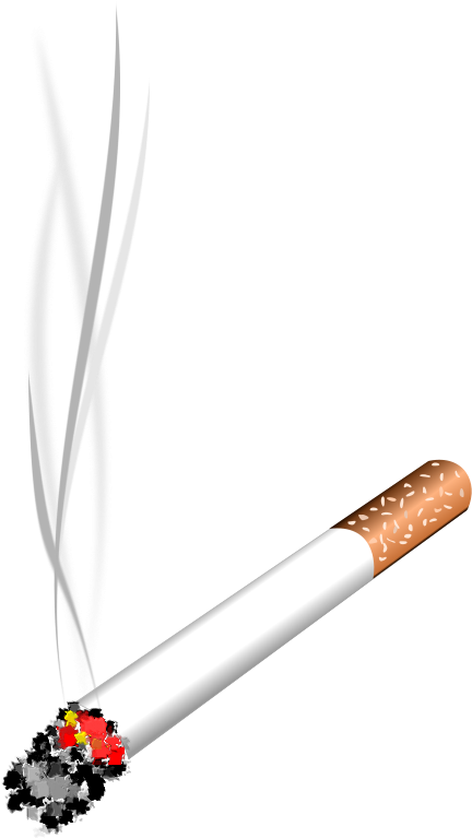 Burning Cigarette With Smoke