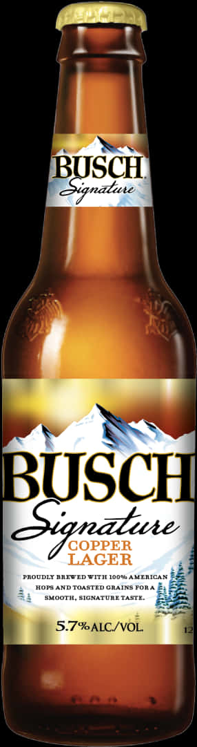 Busch Signature Copper Lager Bottle