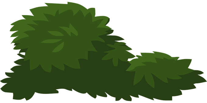 Bush Silhouette Vector