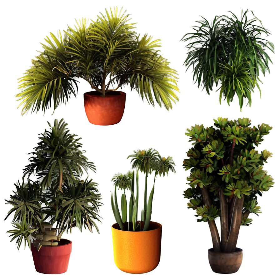 Bushy Plants Png Dlm16