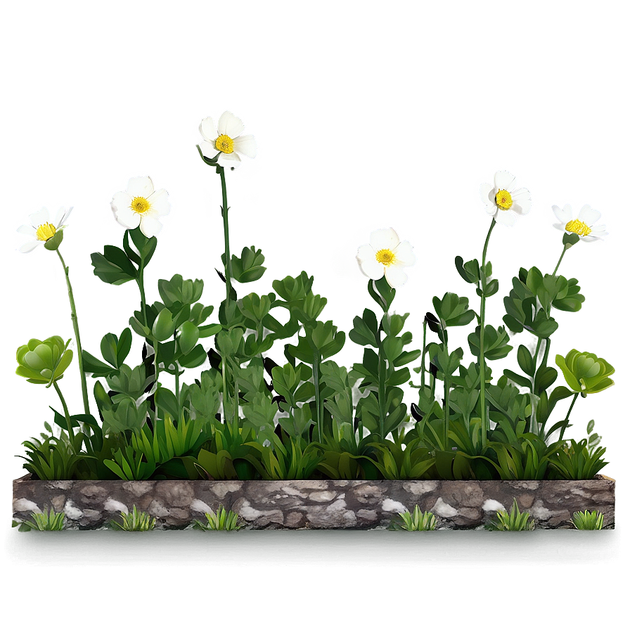 Buttercup Garden Png 06252024