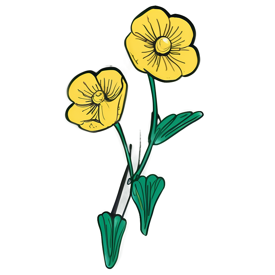 Buttercup Sketch Png 06252024