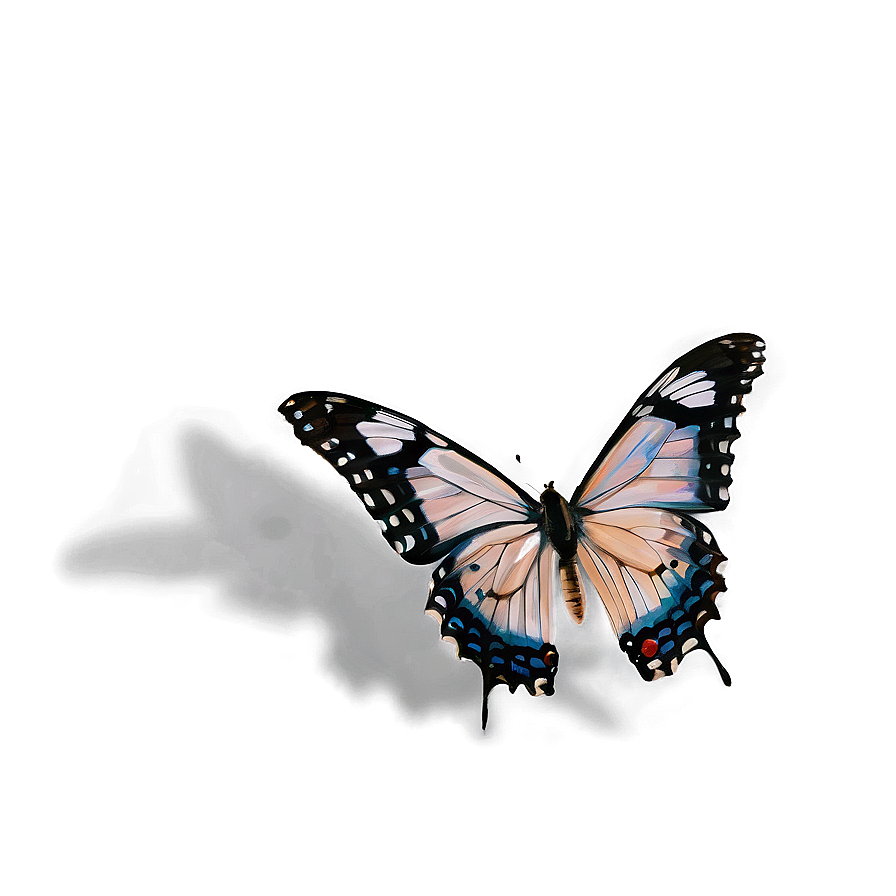 Butterfly Authenticity Png Xok30