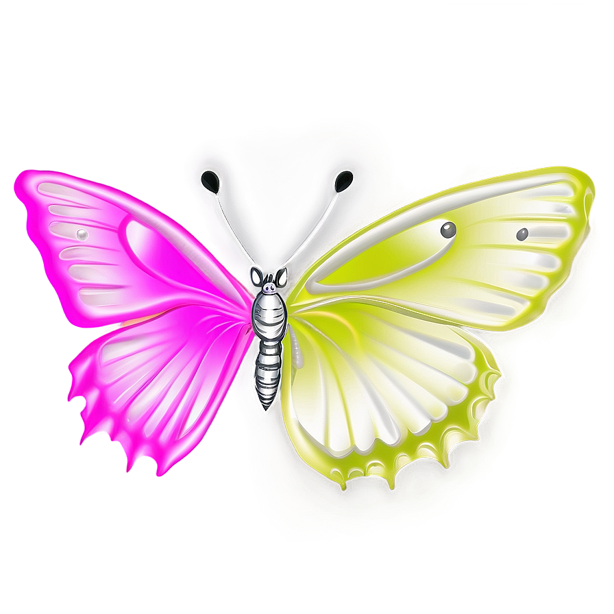 Butterfly Coloring Page Png 68