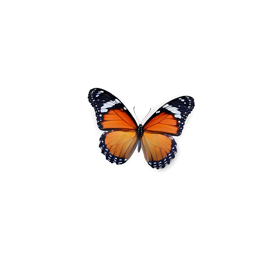 Butterfly Emoji Background Png 06292024