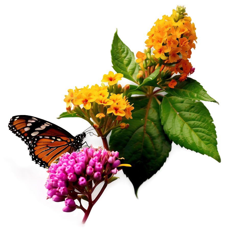 Butterfly Haven Bush Png 9