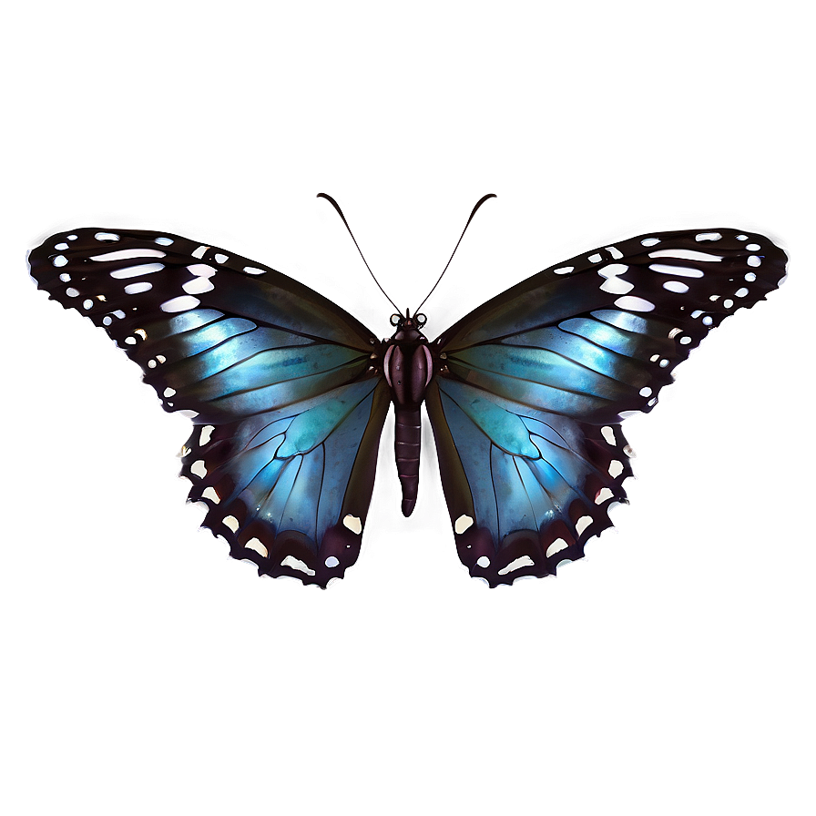 Butterfly Landing Png Eyx84