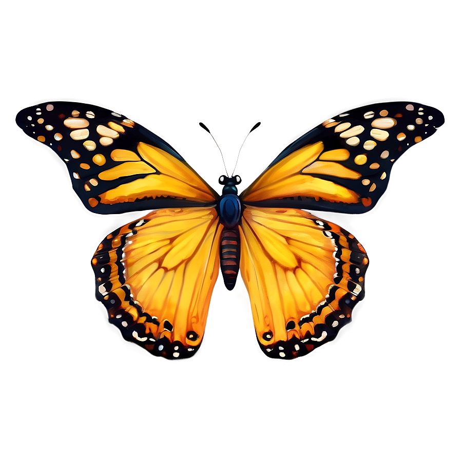 Butterfly Outline Png 05252024