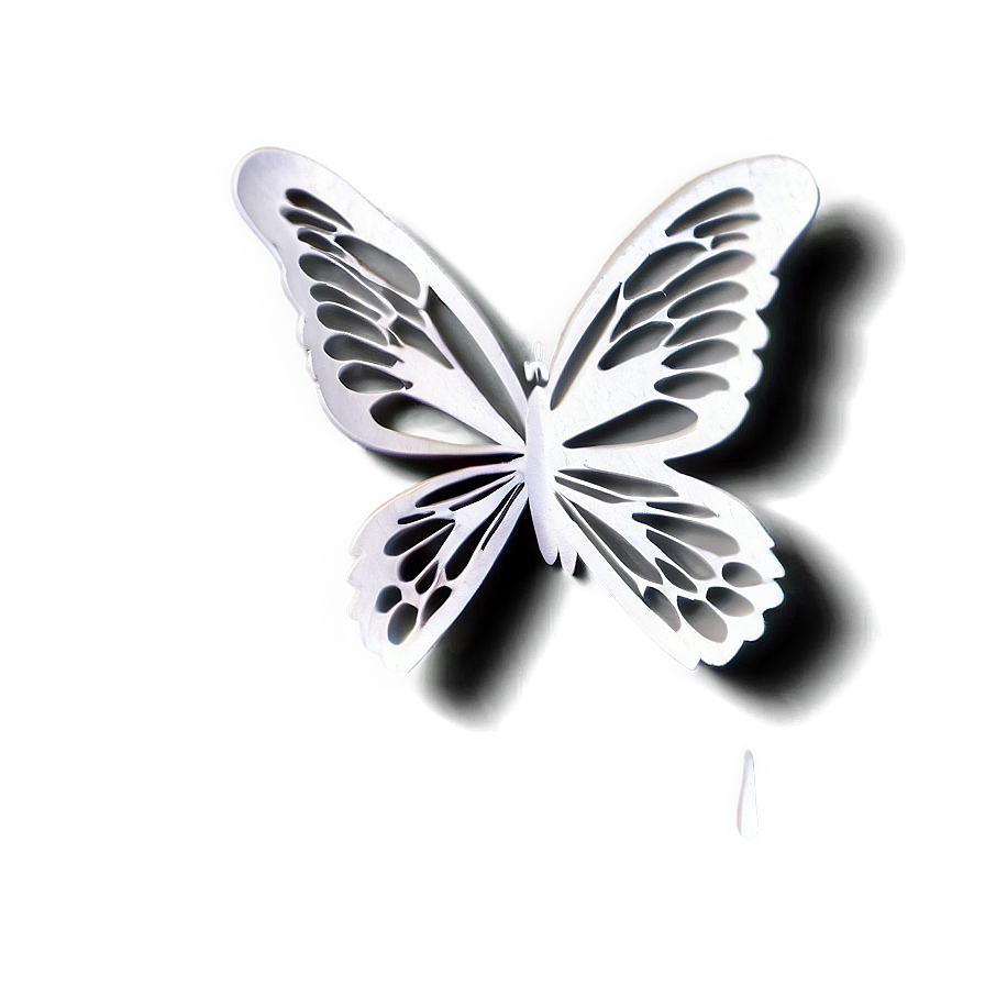 Butterfly Outline Transparent Png 05252024