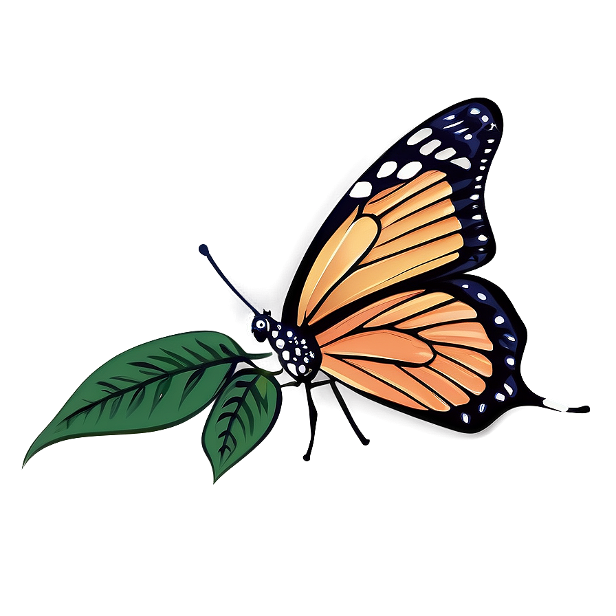 Butterfly Outline Vector Png 05252024