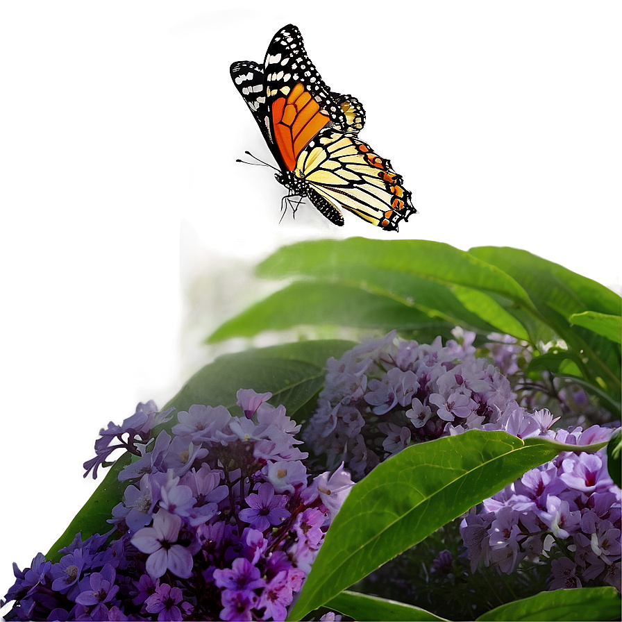 Butterfly Phenomenon Png Ihh