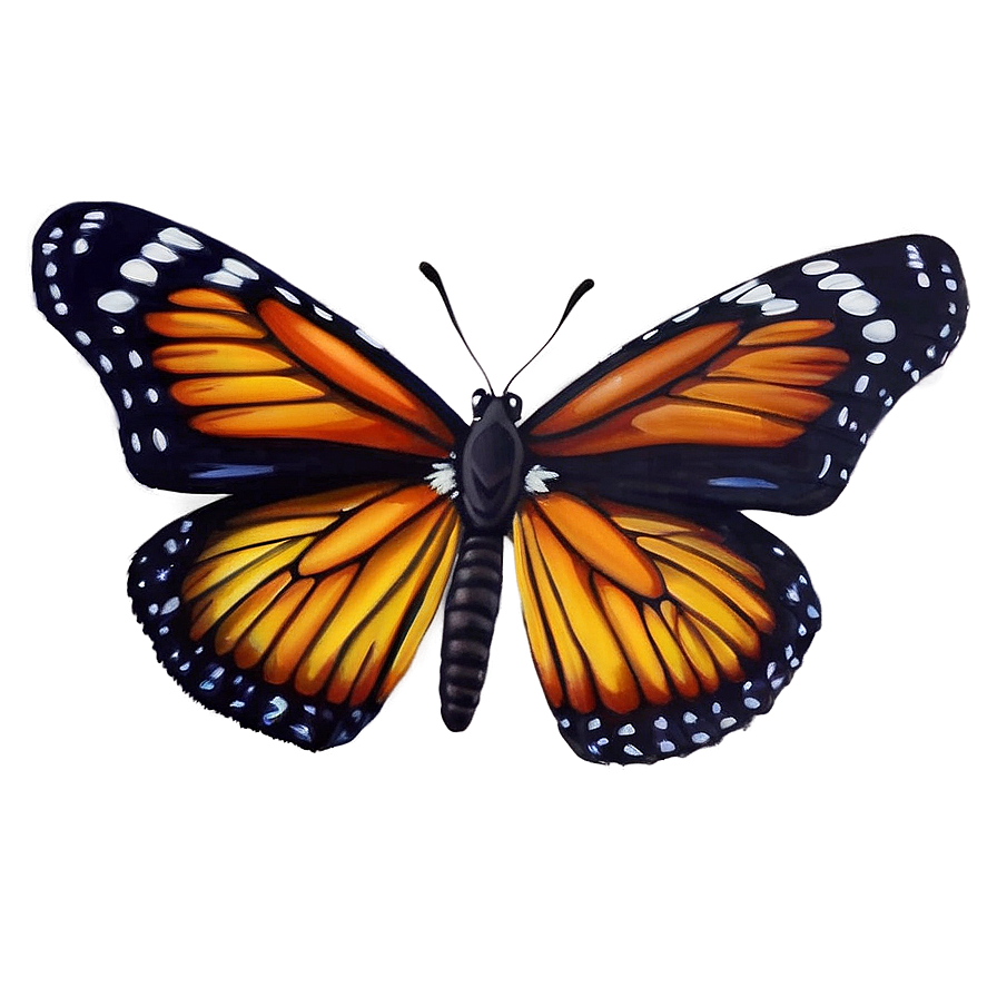 Butterfly Realism Art Png Xnr