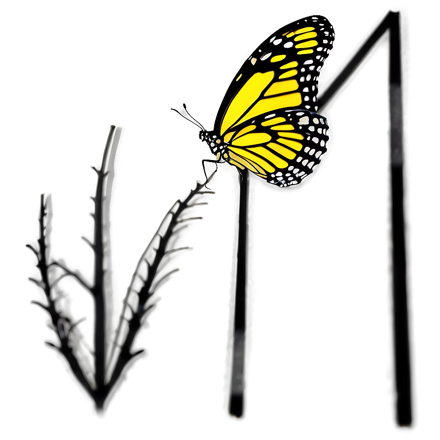 Butterfly Silhouette Outline Png 05252024