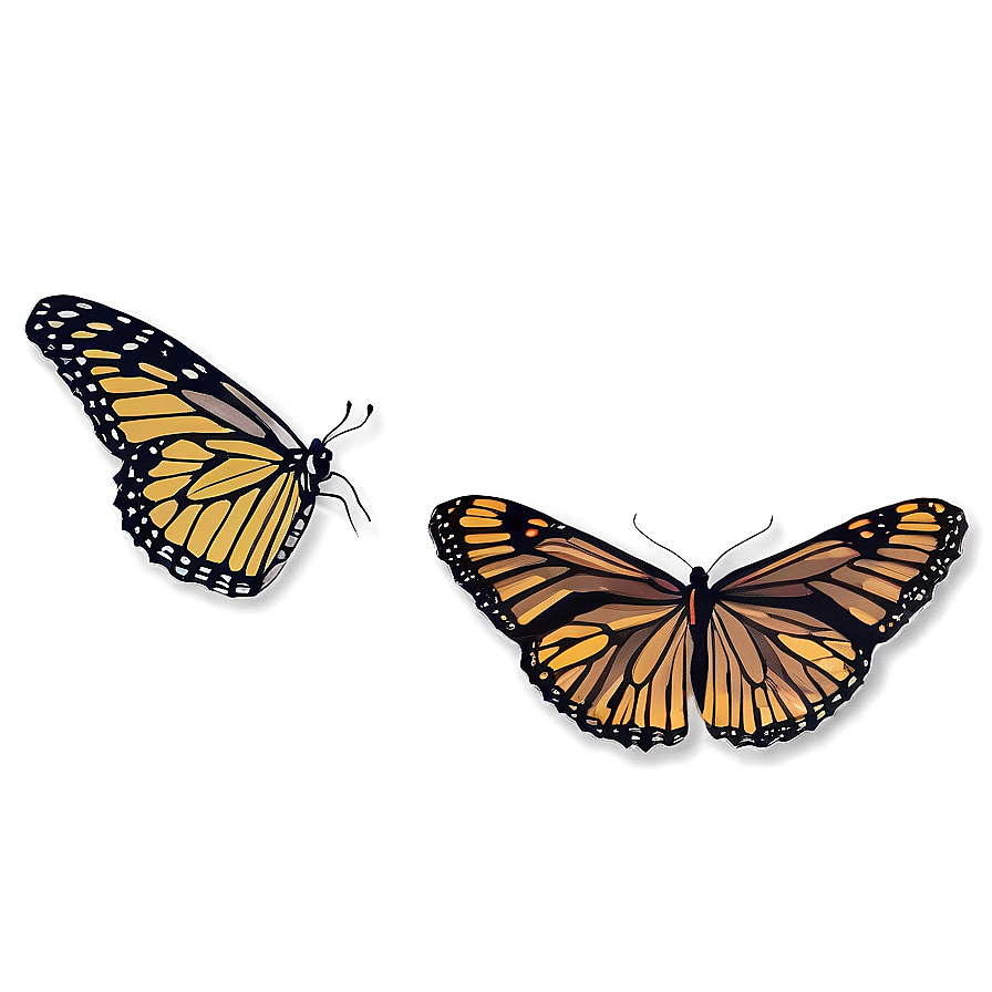 Butterfly Wing Outline Png 75