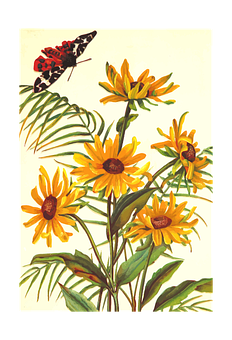 Butterflyon Yellow Flowers Artwork