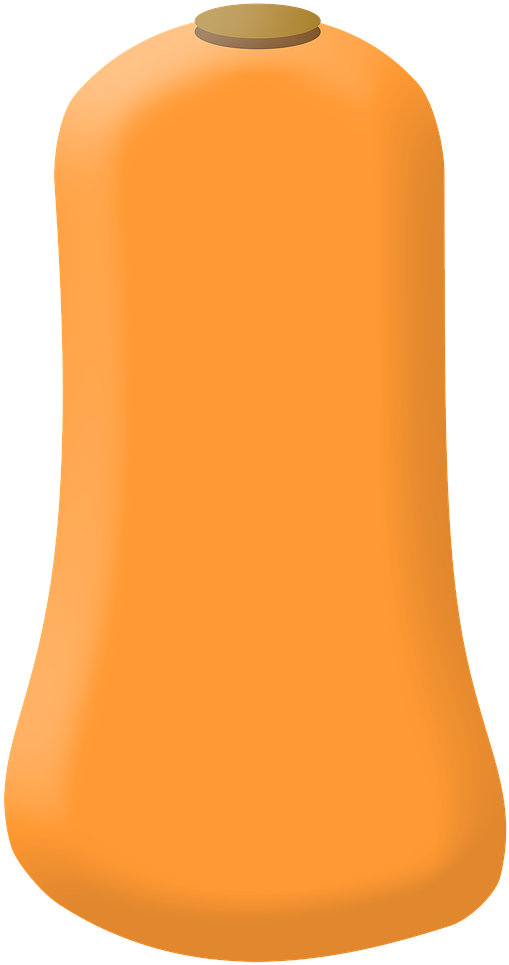 Butternut Squash Vector Illustration