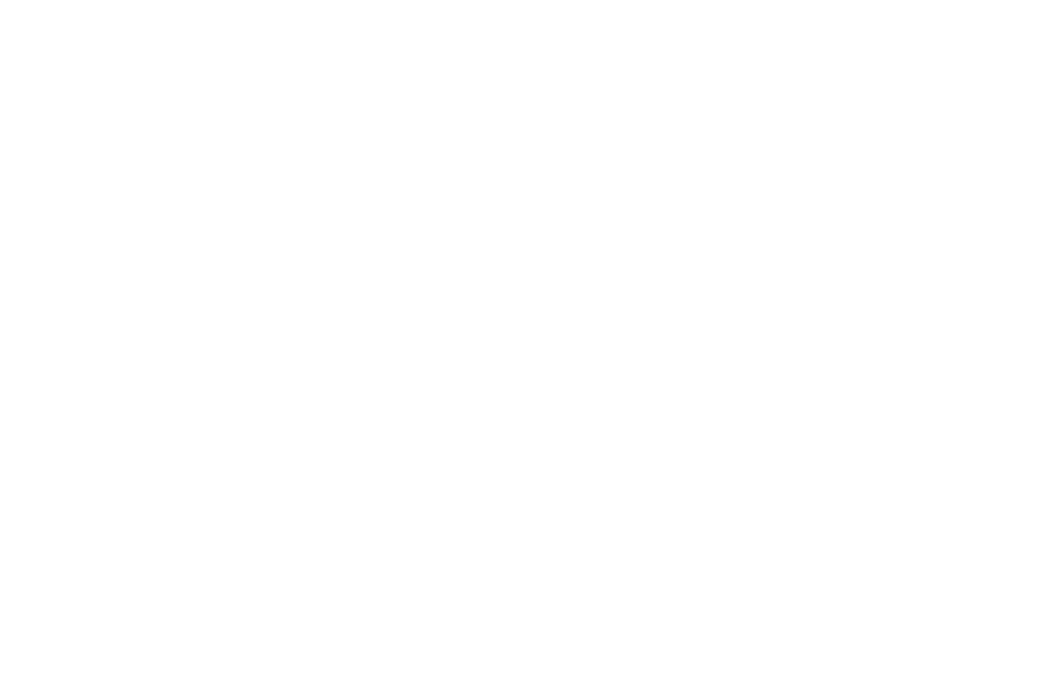 C K F Film Festival Official Selection2019.png