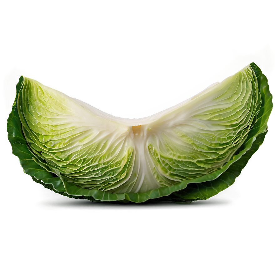 Cabbage B