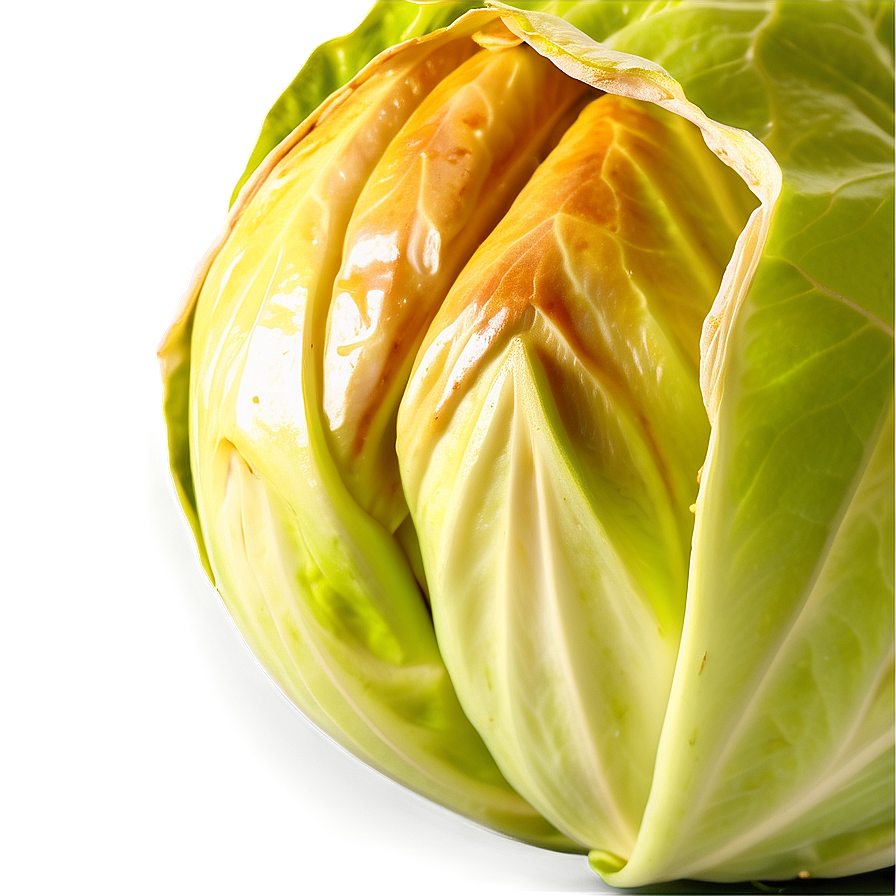 Cabbage Closeup Png Yrv8