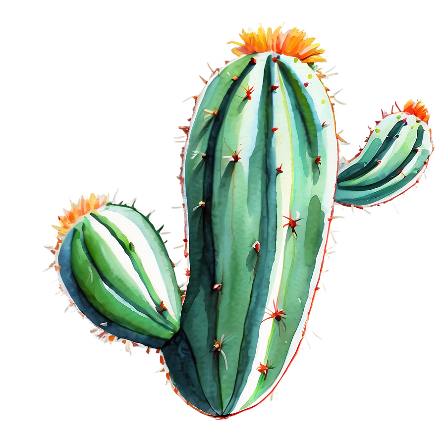 Cactus In Aquarelle Technique Png 06282024