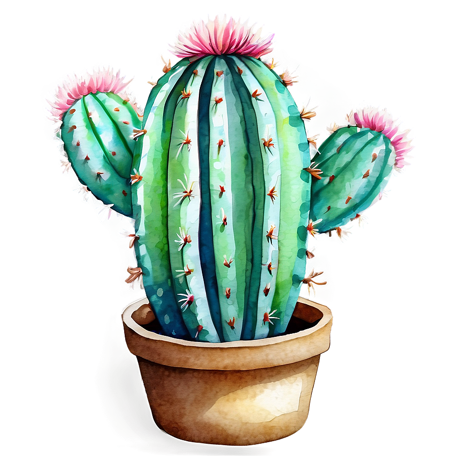 Cactus In Aquarelle Technique Png 67