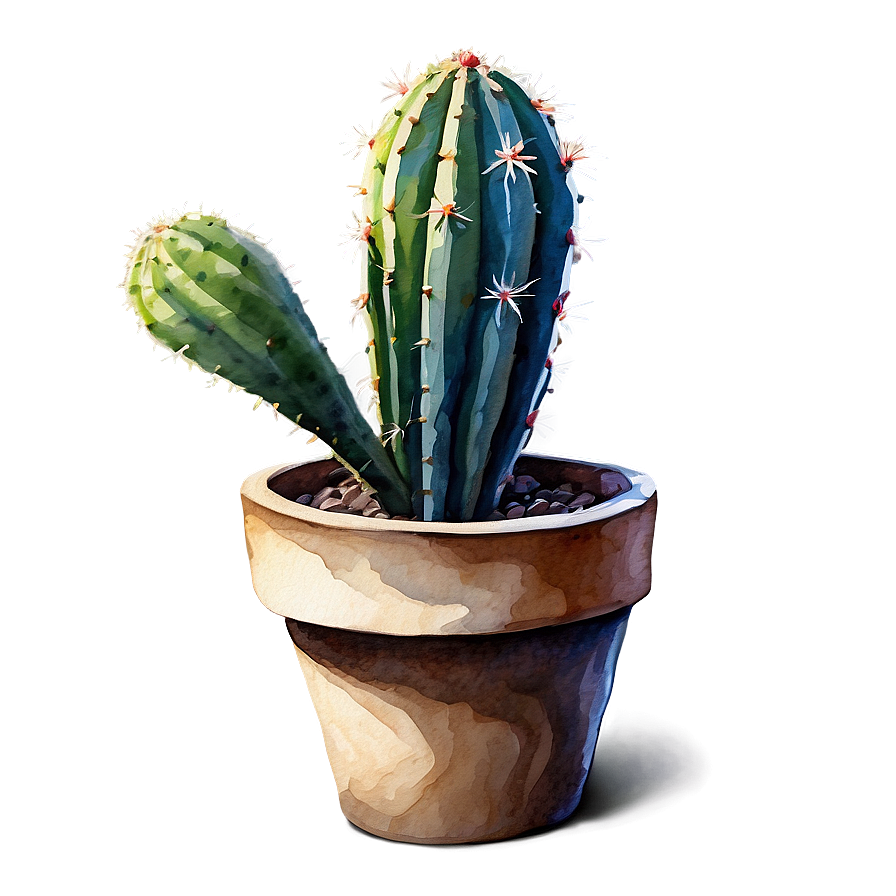 Cactus In Aquarelle Technique Png 95