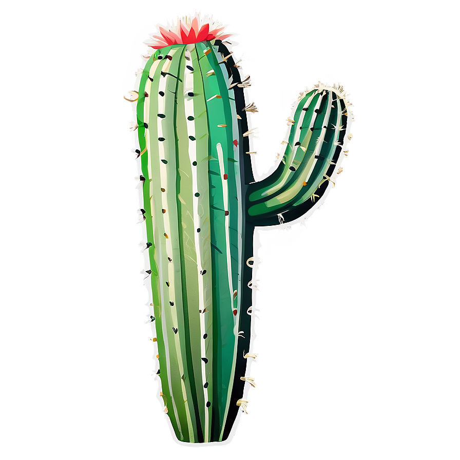 Cactus Print Png 05032024