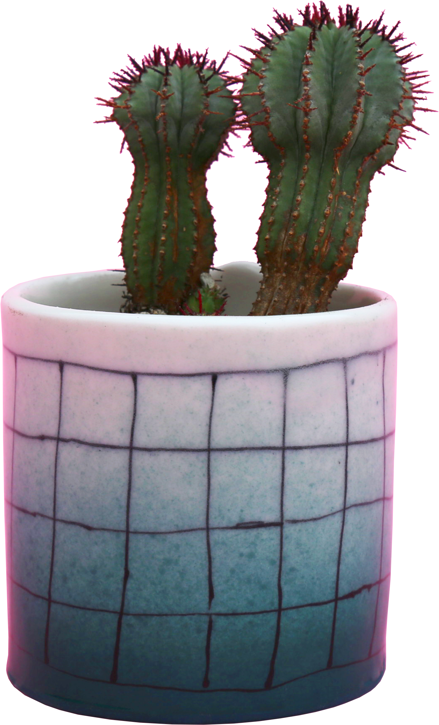 Cactusin Blue Gradient Pot.png