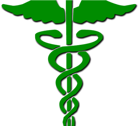 Caduceus Medical Symbol Illustration.png