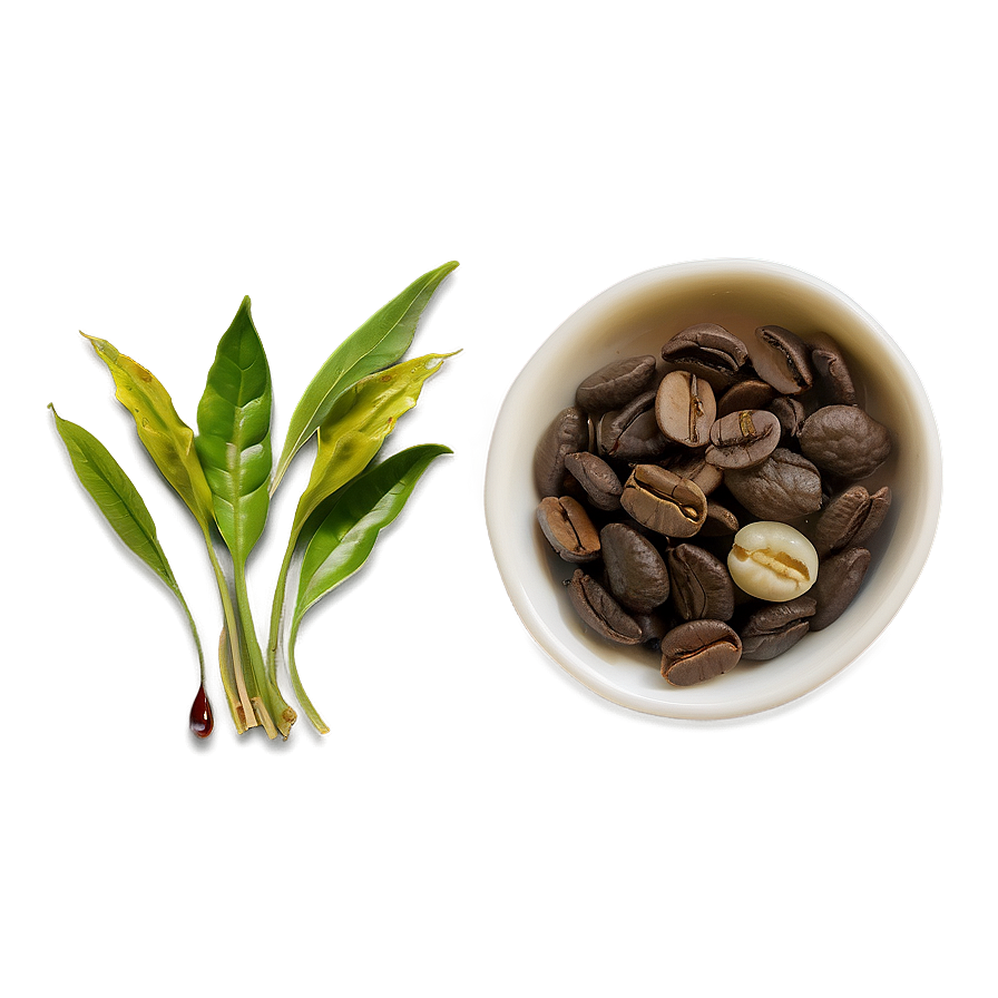 Caffeine In Tea Leaf Png Ort