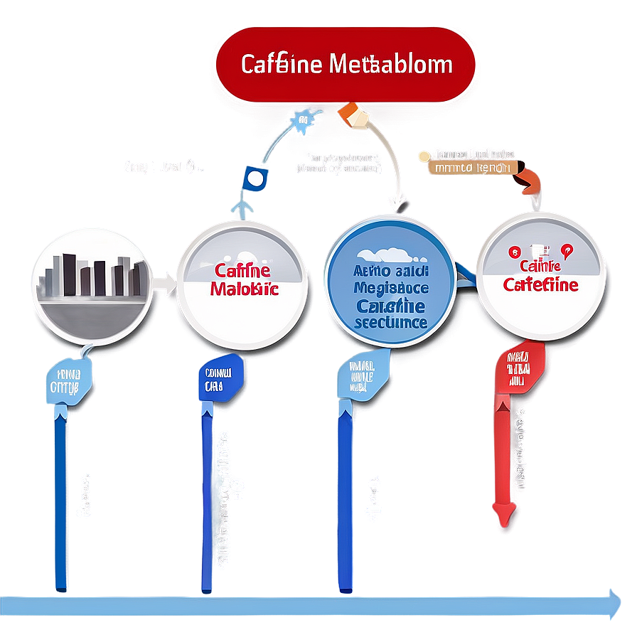 Caffeine Metabolism Pathway Png Jtx58