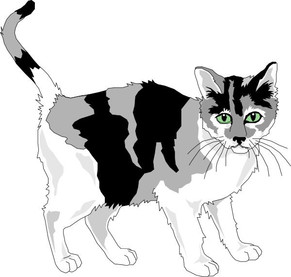 Calico Cat Illustration.png