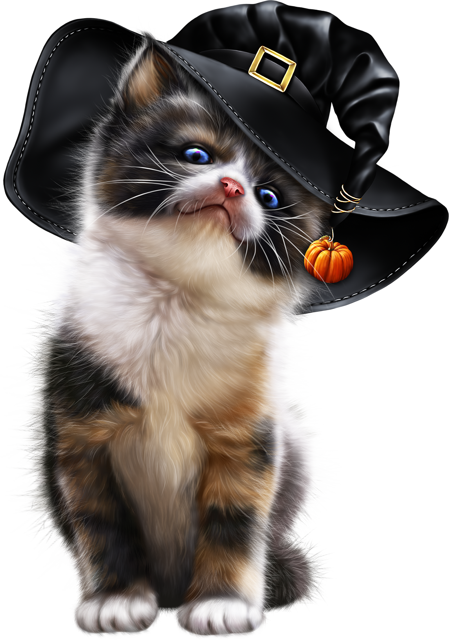 Calico Kittenin Pilgrim Hat