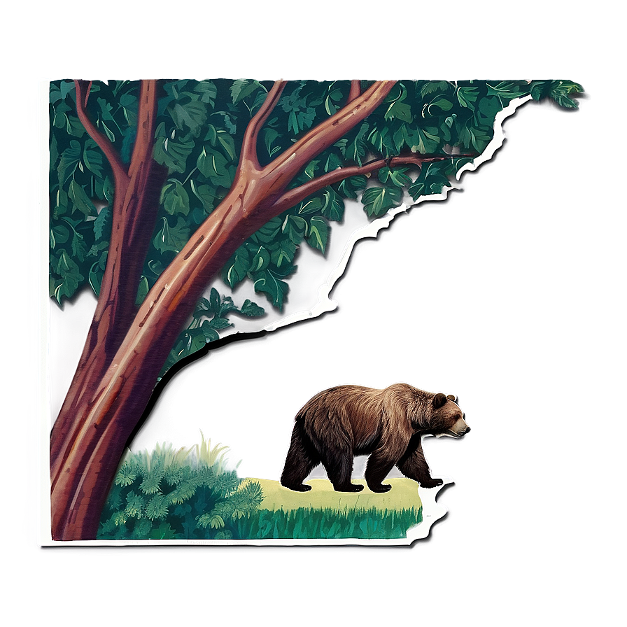 California Bear Wine Country Png Gdl2