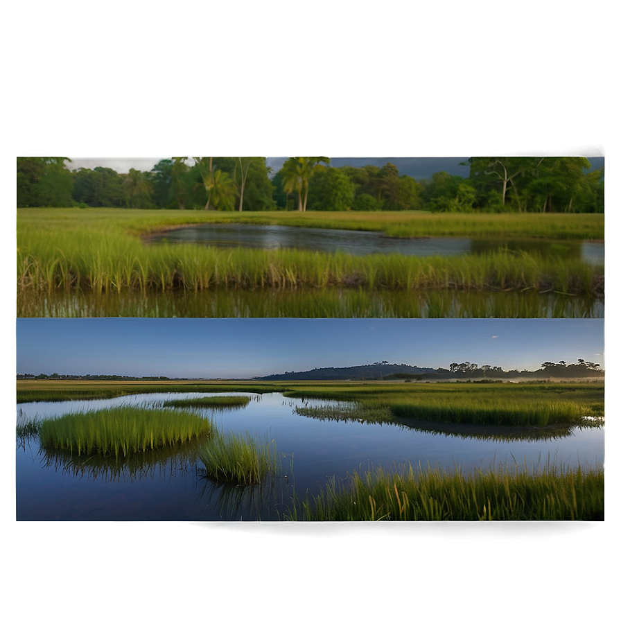 Calm Marshland At Twilight Landscape Png Yhg