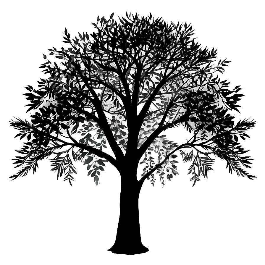 Calm Tree Silhouette Png Jrl