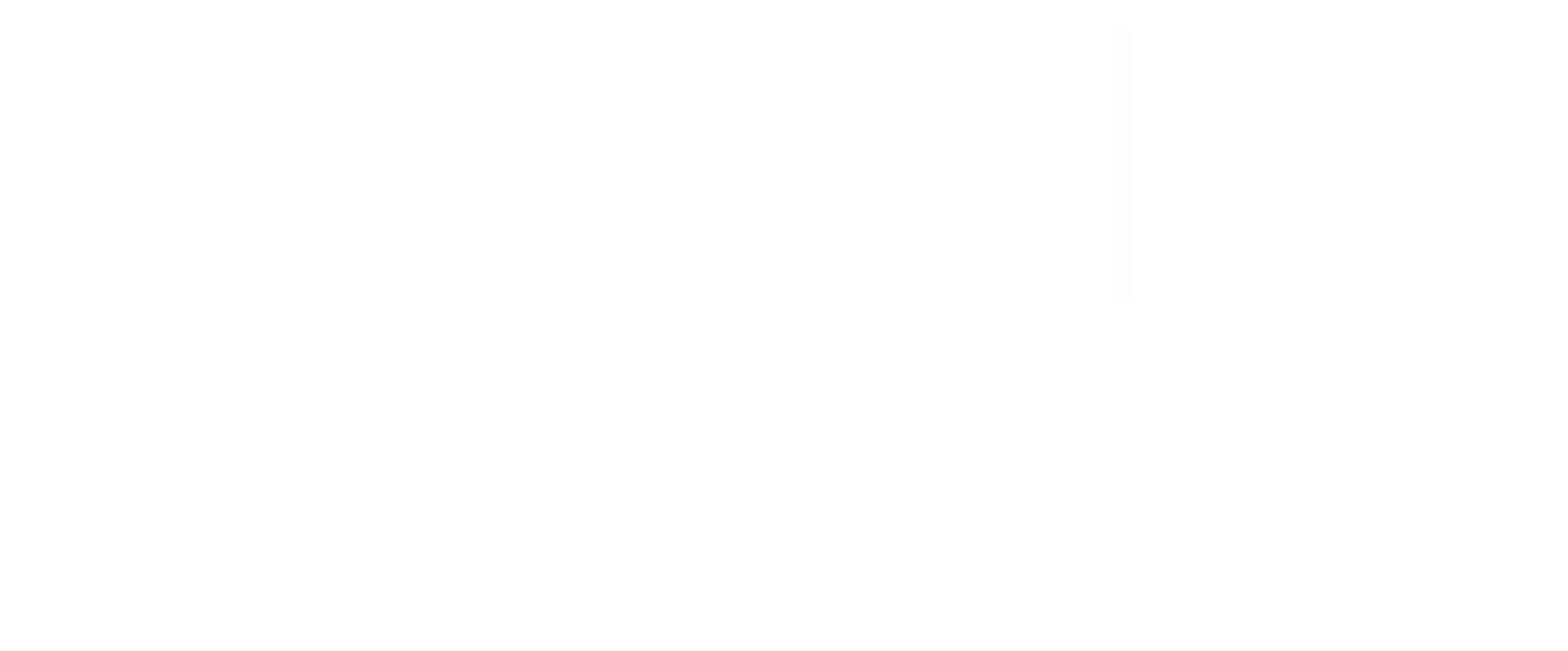 Camel Connections Logo